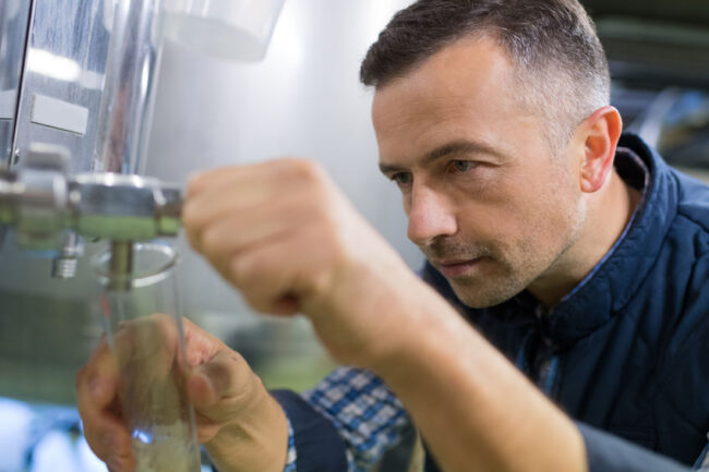 happy brewer checking beer with hydrometer at brewery Como usar o densímetro corretamente